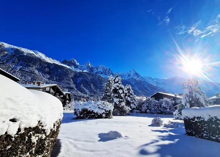 Chamonix Appartement Vue Mont Blanc Avec Jardin