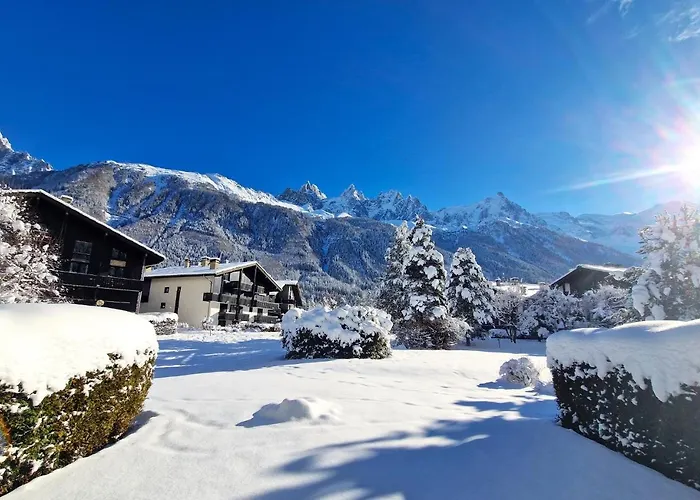 Chamonix Appartement Vue Mont Blanc Avec Jardin