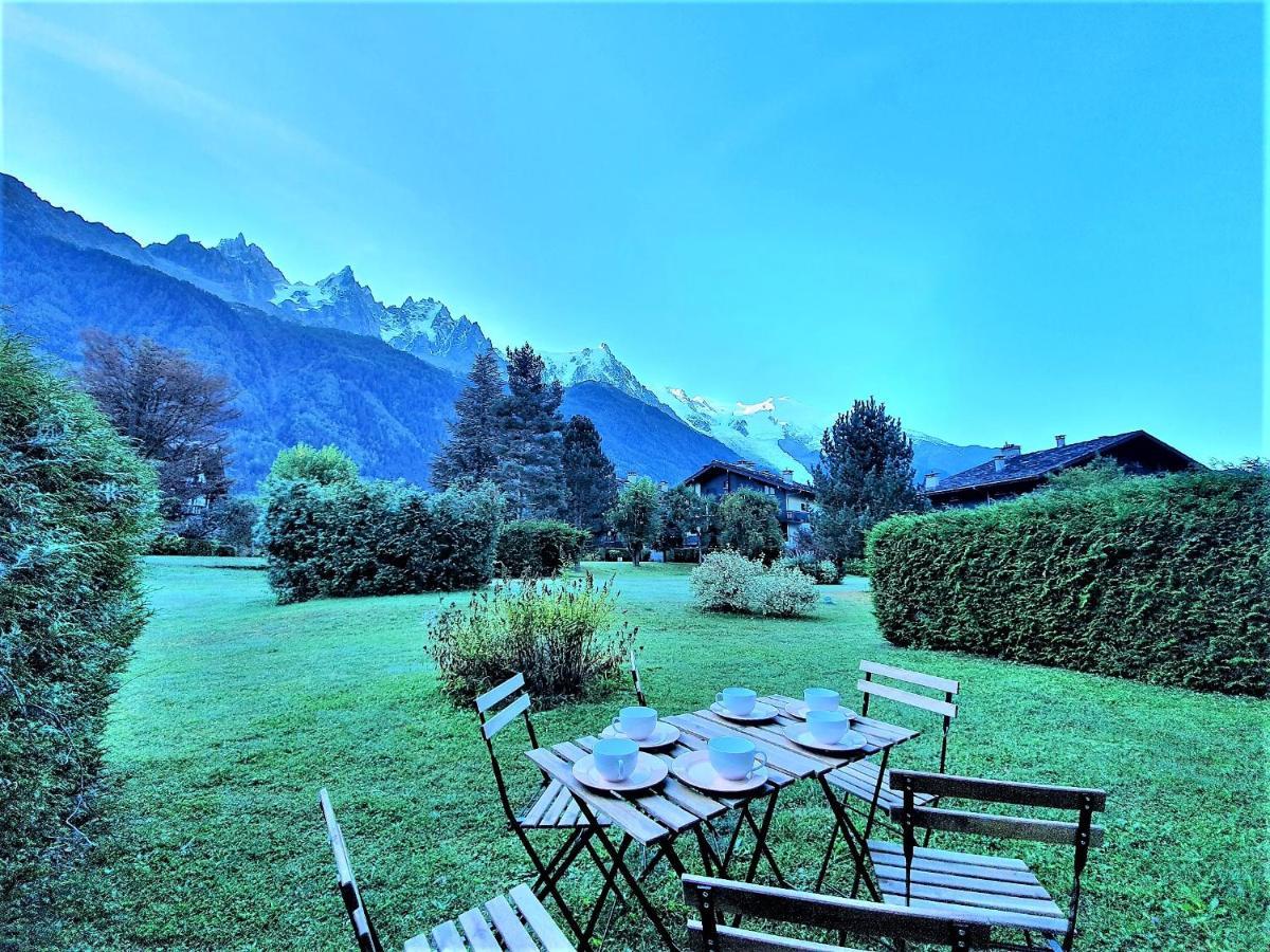 Apartment Vue Mont Blanc Avec Jardin Chamonix