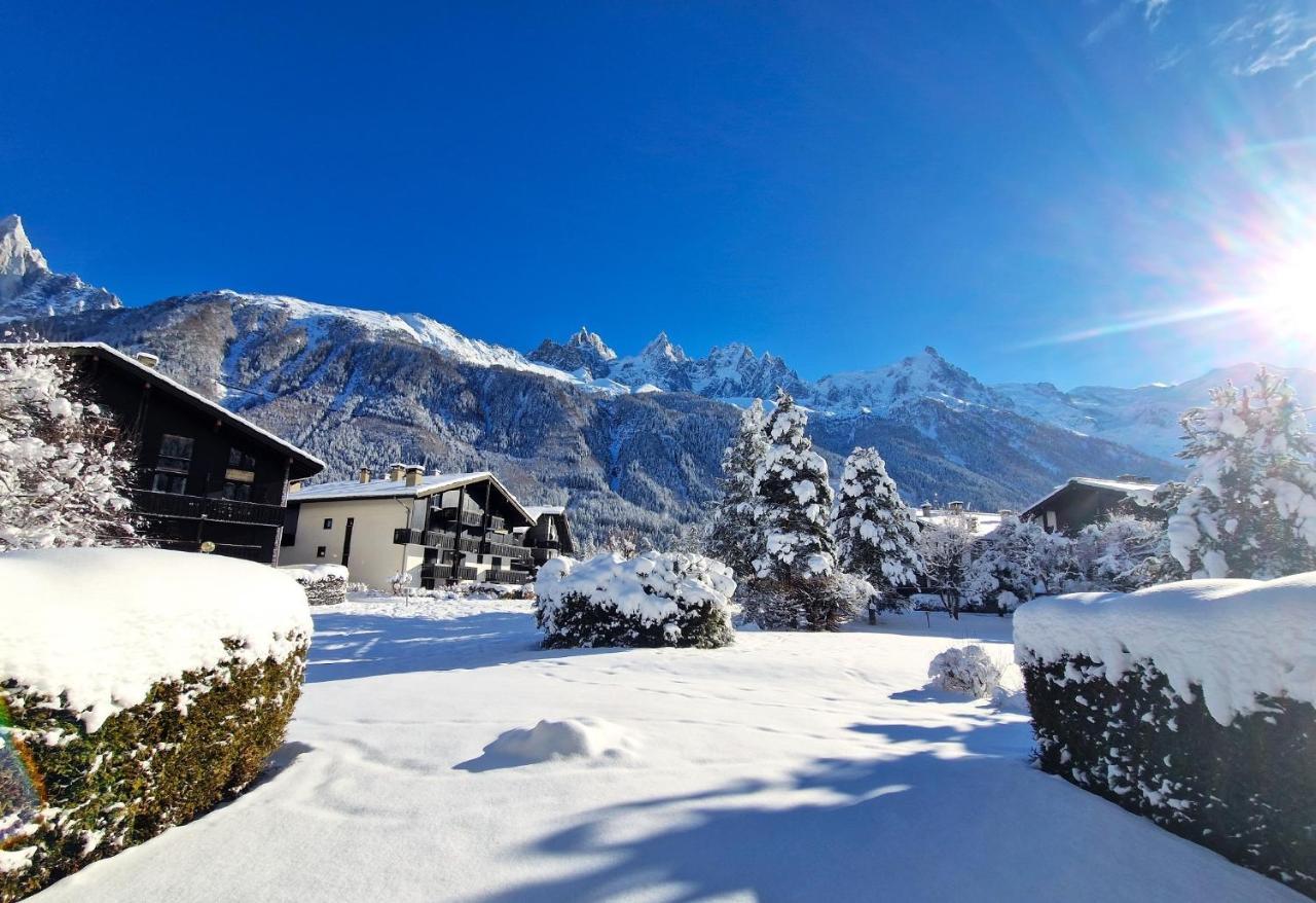 Vue Mont Blanc Avec Jardin Apartment *
