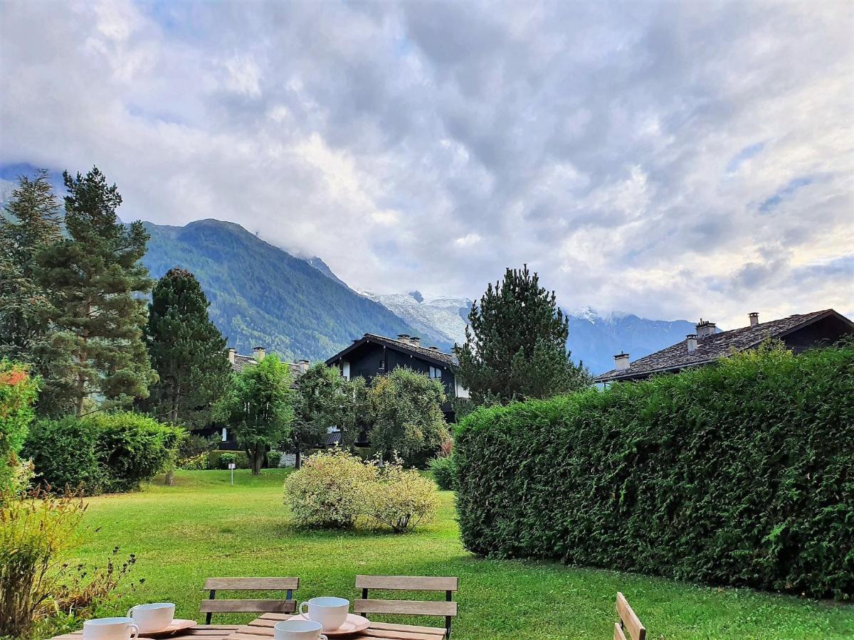 Appartement Vue Mont Blanc Avec Jardin