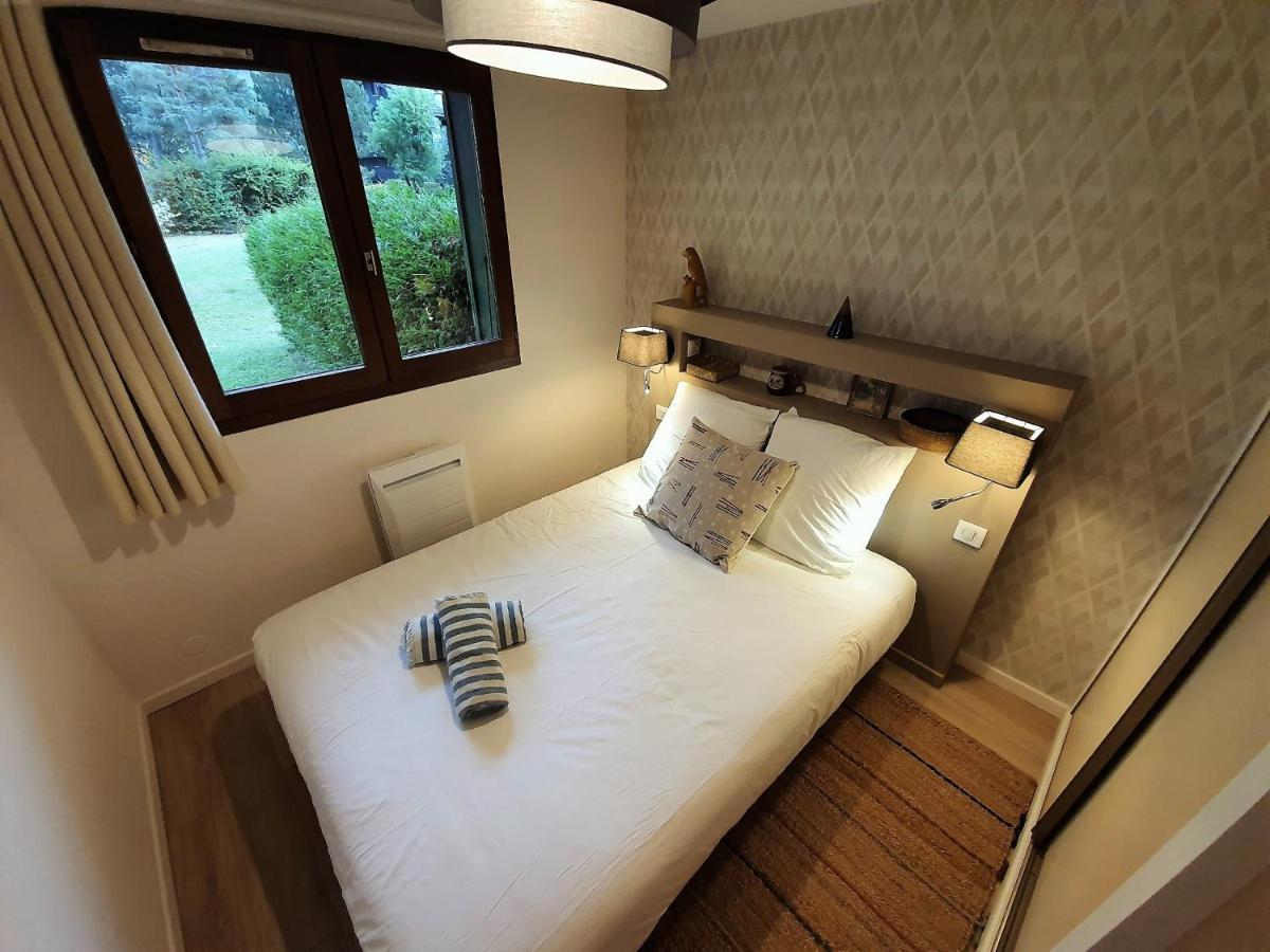 Vue Mont Blanc Avec Jardin Appartement