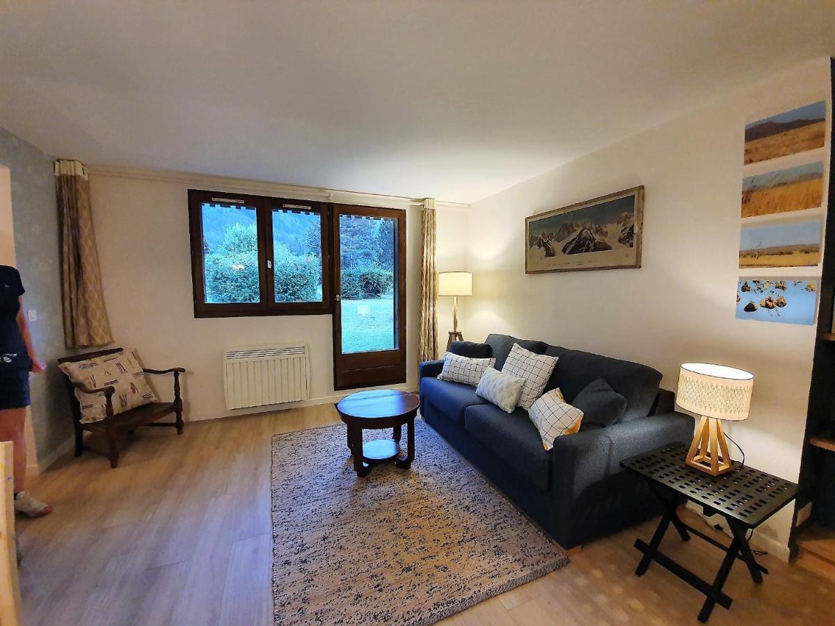 Appartement Vue Mont Blanc Avec Jardin