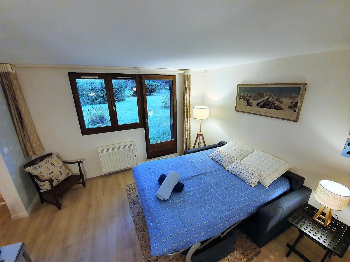 Vue Mont Blanc Avec Jardin Appartement