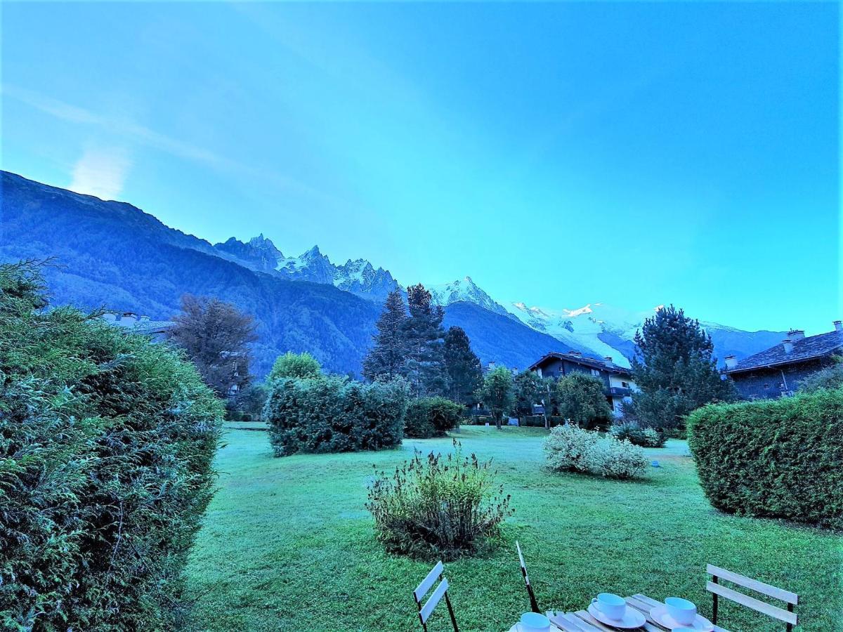 Vue Mont Blanc Avec Jardin Appartement Chamonix
