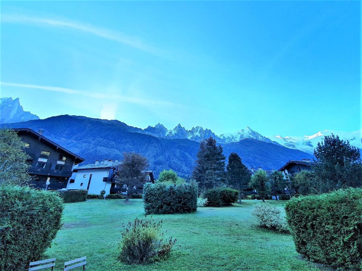 Appartement Vue Mont Blanc Avec Jardin *